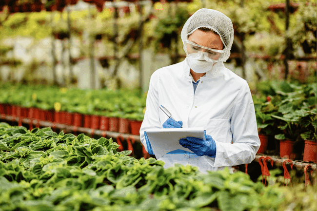 ISO 22000 Lead Auditor