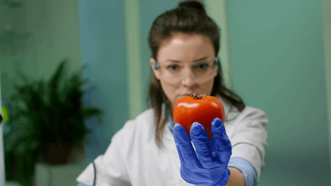 ISO 22000 Lead Implementer